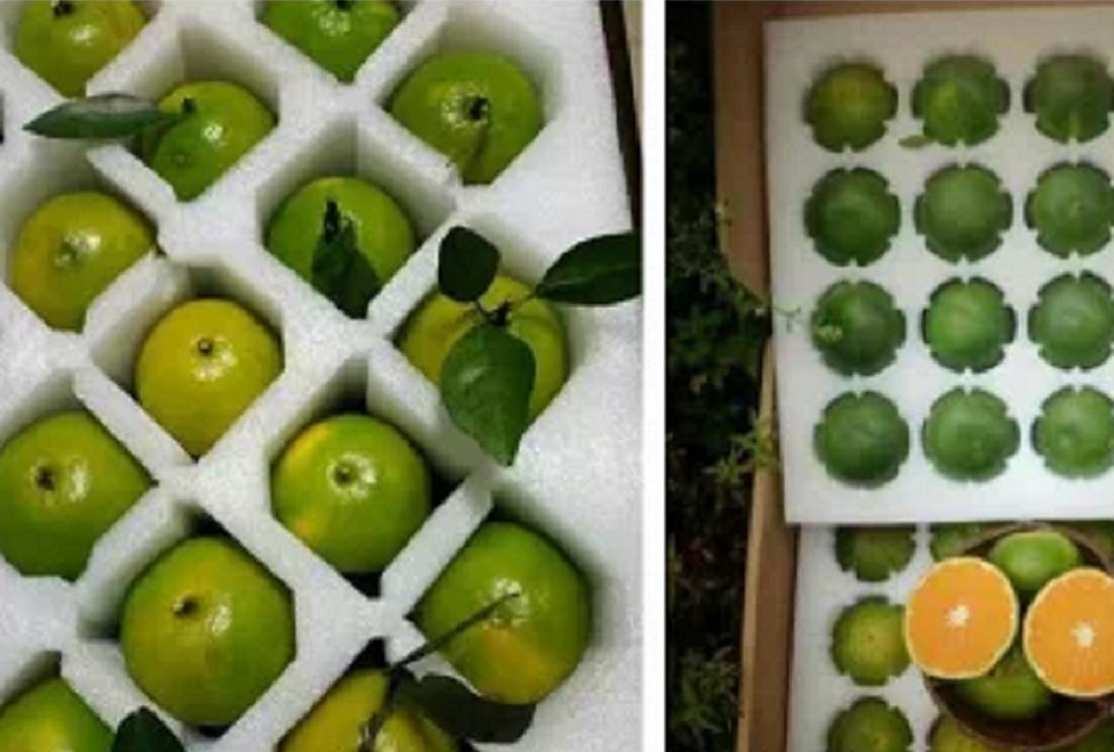 廠家直銷各種EPE珍珠棉泡沫、產(chǎn)品包裝泡沫、水果包裝泡沫等包裝盒內(nèi)襯